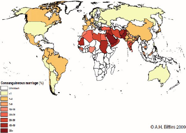 Why does Norway have the highest rate of incest in the world? - Quora