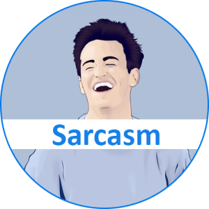 www.sarcasm.co