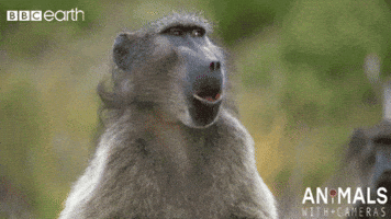 Bored Cabin Fever GIF by chuber channel
