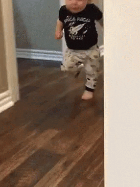 giphy.gif