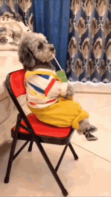 dog-juice-box.gif
