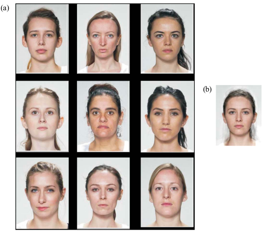 averageness-face-beauty.png