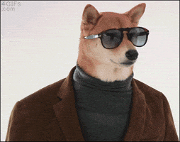 Doge Reaction GIF by MOODMAN