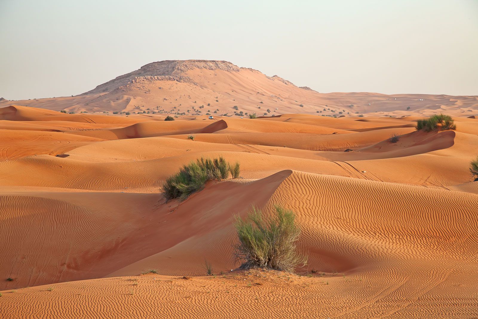 landscape-Riyadh-Saudi-Arabia.jpg