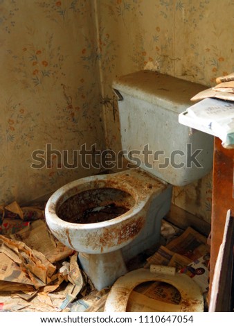 disgusting-old-dirty-toilet-abandoned-450w-1110647054.jpg