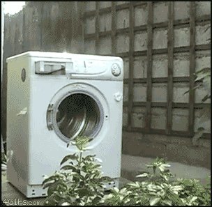 giphy.gif