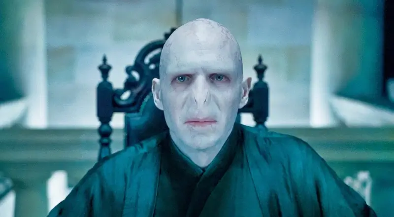 Voldemort.Harry-Potter-Series.webp