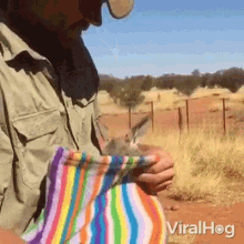 tenor.gif