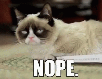 grumpy-cat-no.gif