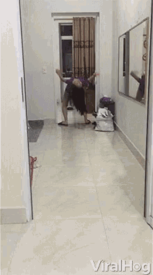 viralhog-scary.gif