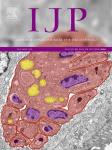 www.sciencedirect.com