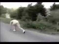 fwsT98u.gif