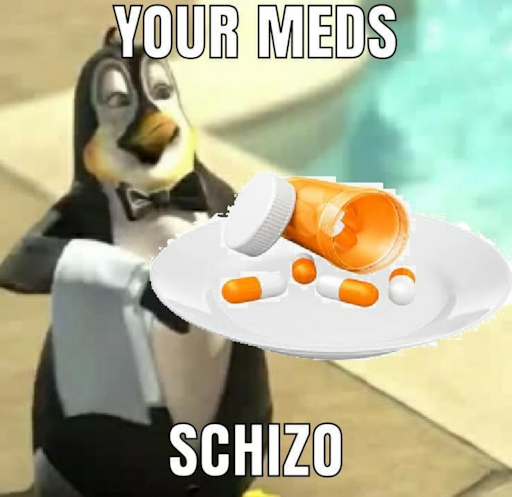 Your Meds | Schizoposting | Know Your Meme