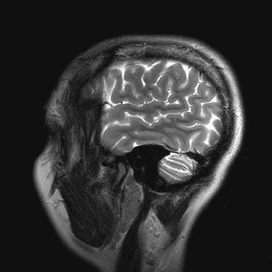 psychology.gif