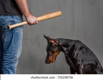 man-baseball-bat-punishes-dog-260nw-735258736.jpg