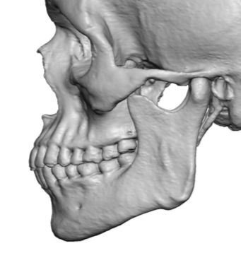 2815761_A987415B-B0C8-419E-836E-3AE0366B31BF.png