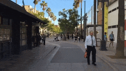 1655208_pua.gif