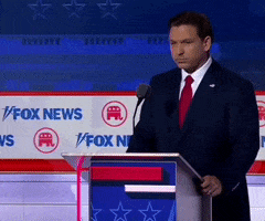 Stop It Oh My God GIF by GIPHY News
