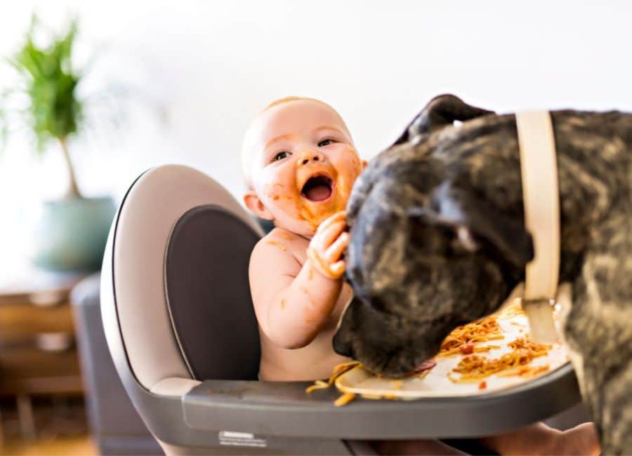 Dog-licking-face-1.jpg