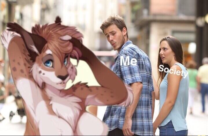 bycrz4rweev21.jpg