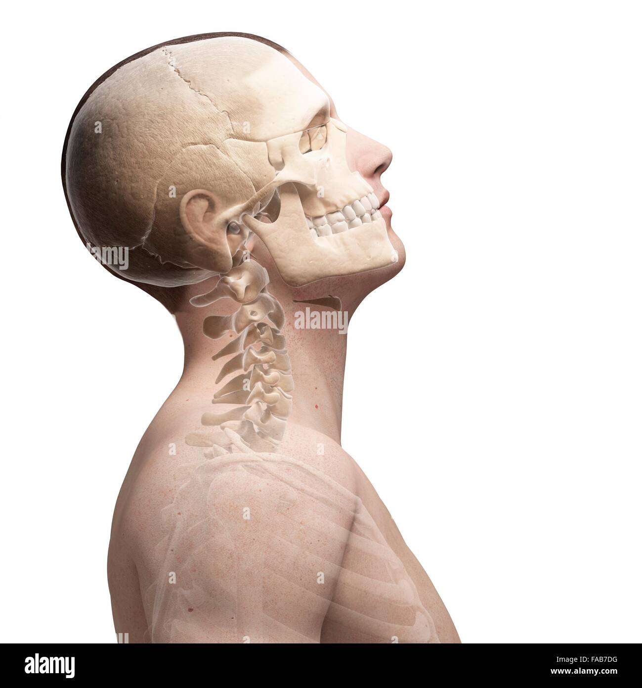 Image result for bending neck backward