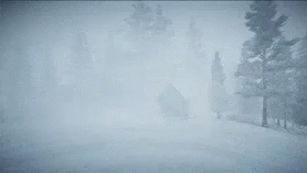 Blizz Storm GIF - Blizz Storm Snow - Discover & Share GIFs
