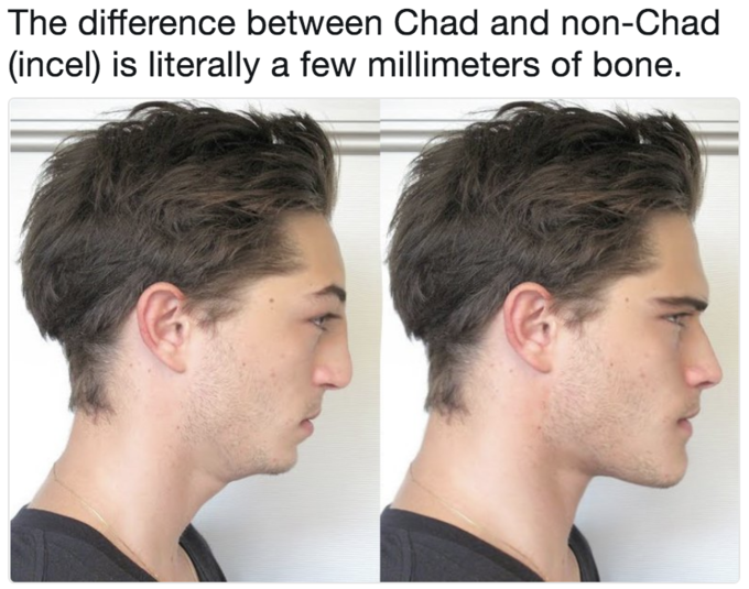 incels.wiki