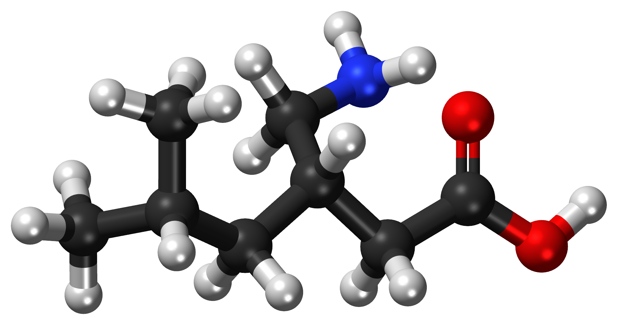 Pregabalin_ball-and-stick_model.png
