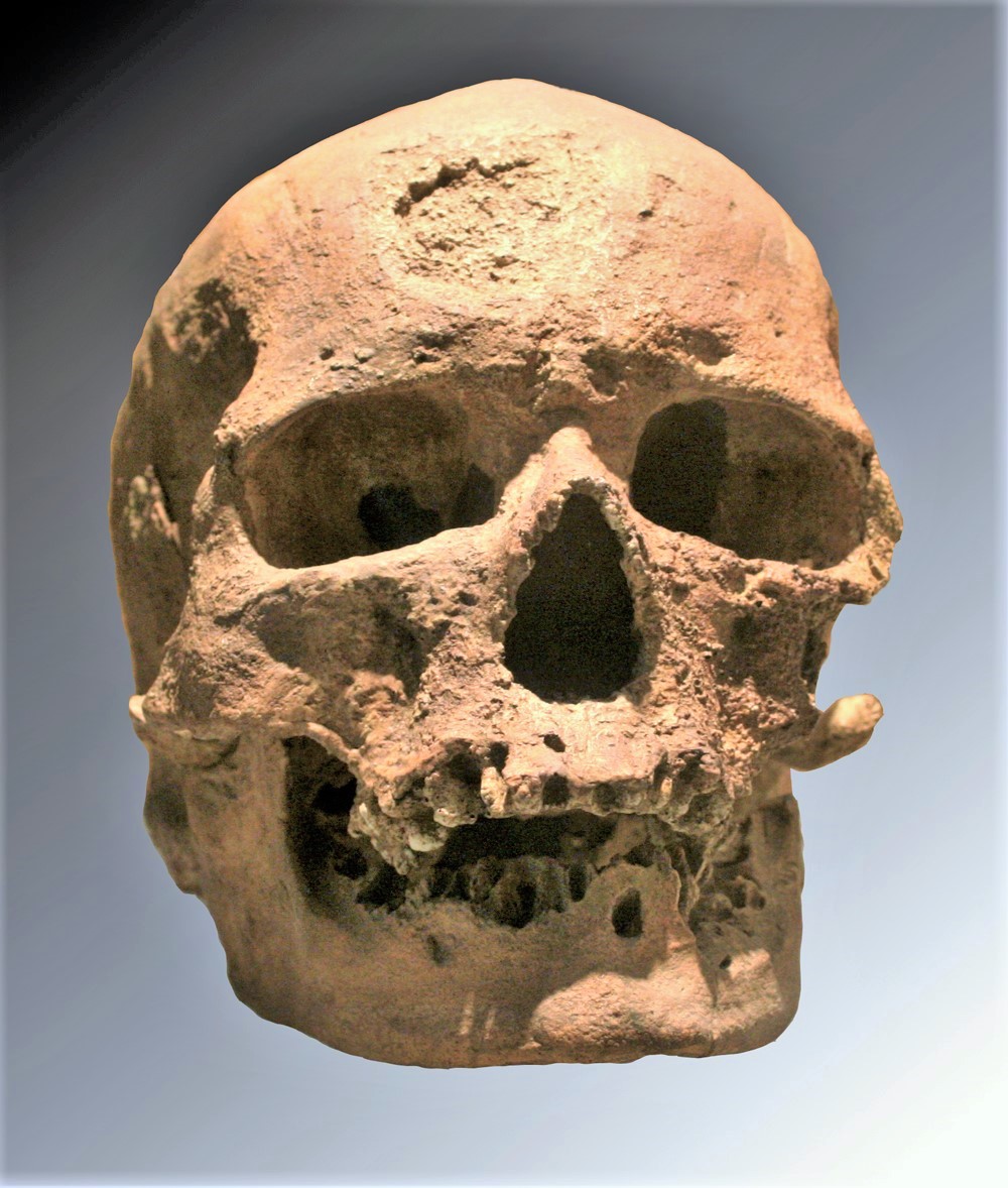 Cro-Magnon.jpg