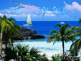 tropical GIF