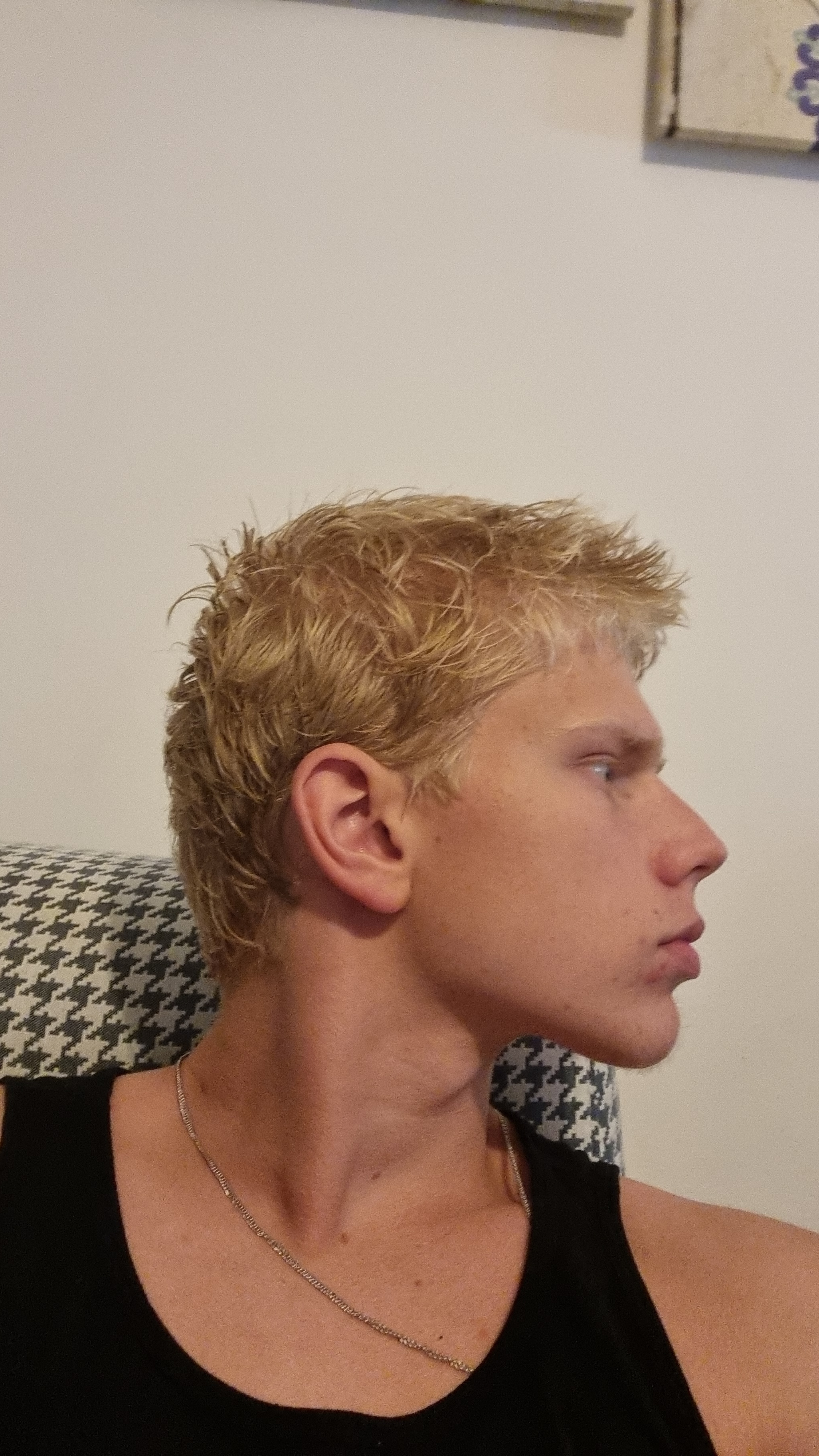 5302309_1000037568.jpg