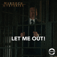 Murdoch Mysteries Help GIF by Ovation TV
