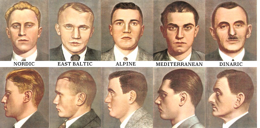 Europid%20Types.png