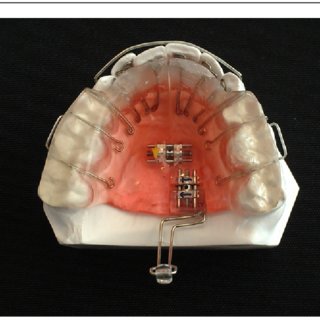 marylandholisticdentist.com