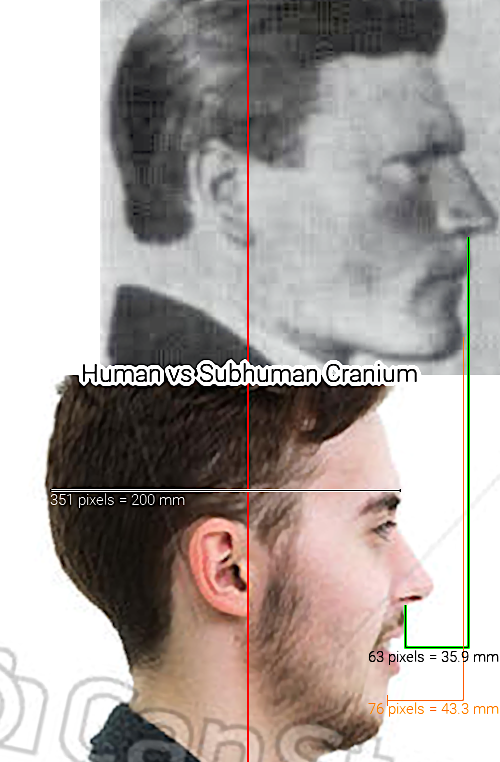 3299689_Brutal.png