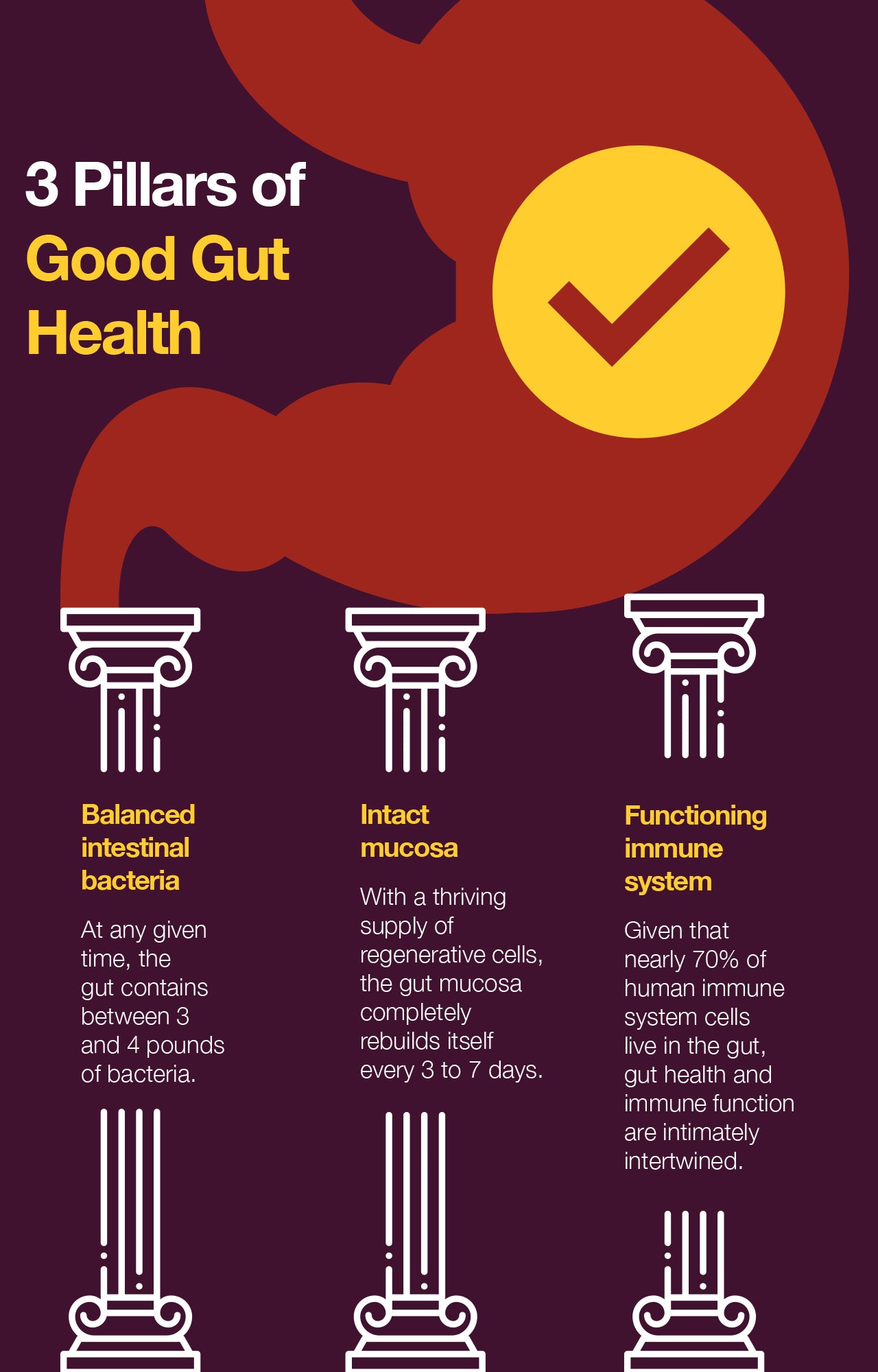 Infographic_GutHealth-1.jpg