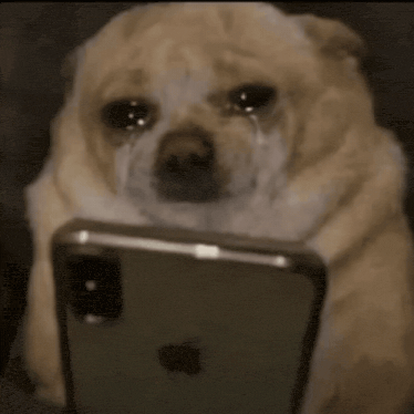 dog-scroll.gif