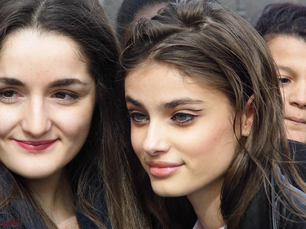 268-2688141_taylor-hill-fan.jpg