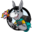 www.chasingthedonkey.com
