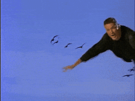 flying music video GIF