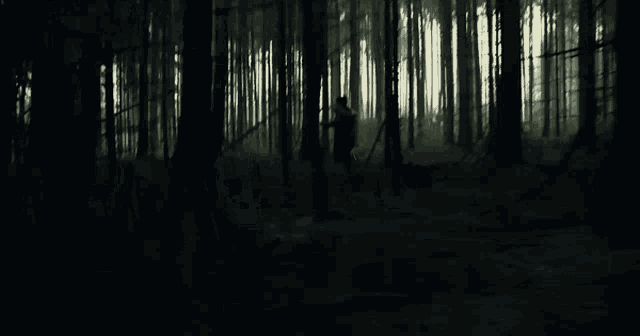 chase-chasing.gif