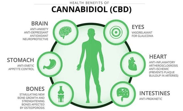 CBD Health Wellness Benefits
