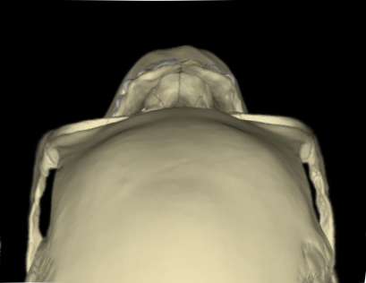 1747187466389