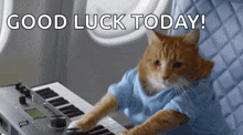 pianocat.gif