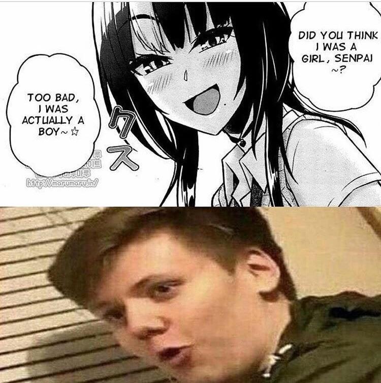 5be313f911420.jpeg