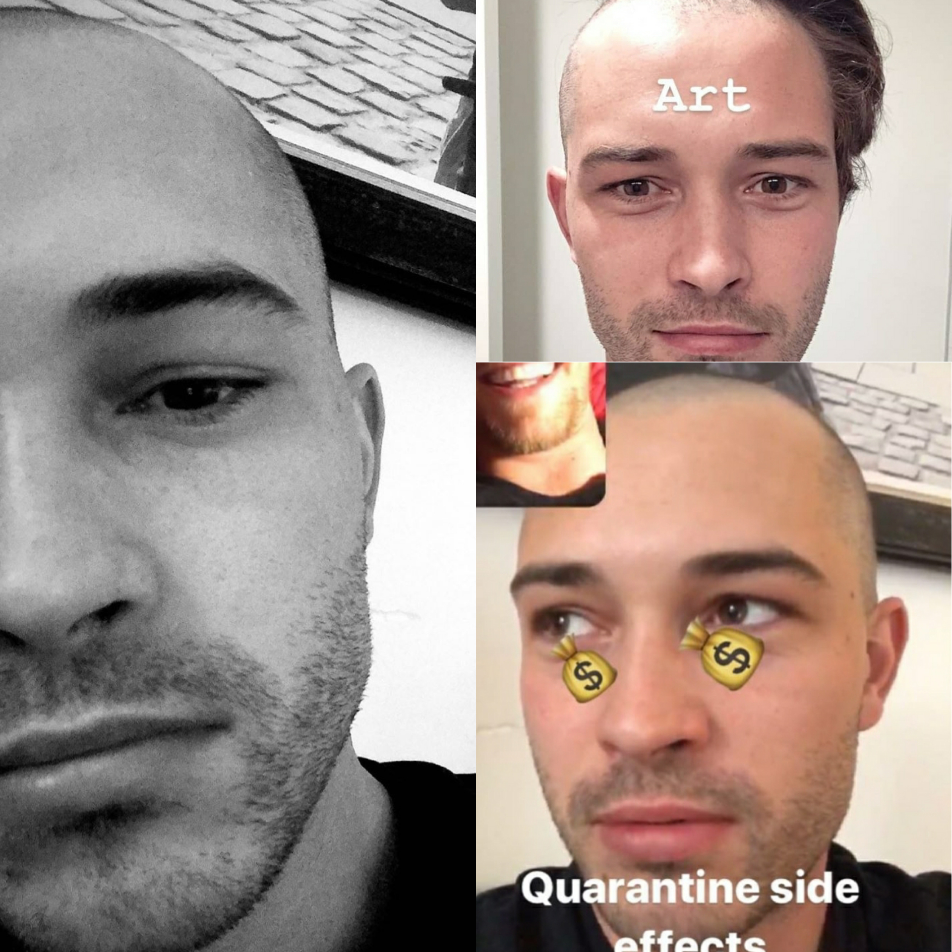 Bald-Chico1.jpg