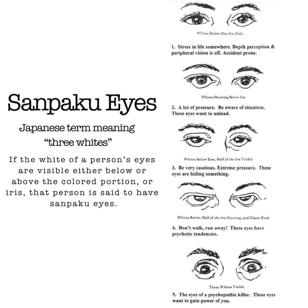 Sanpaku Eyes. | Eyes, Eye meaning, Meant to be