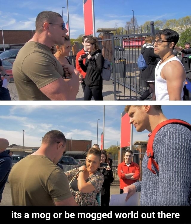 ed8.jpg