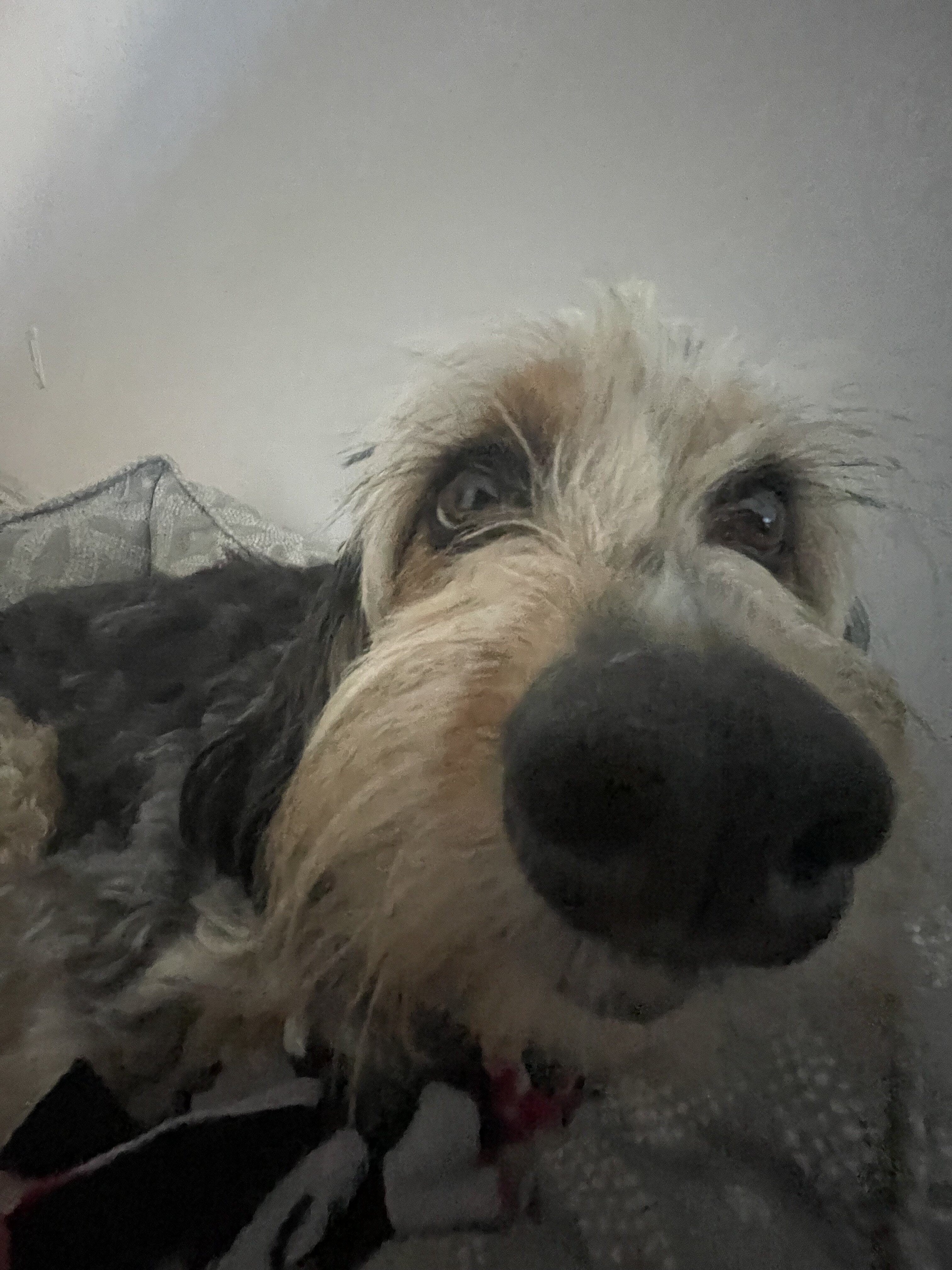 3783764_IMG_7738.jpeg