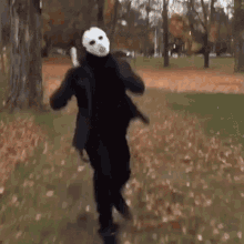 abell46s-reface.gif